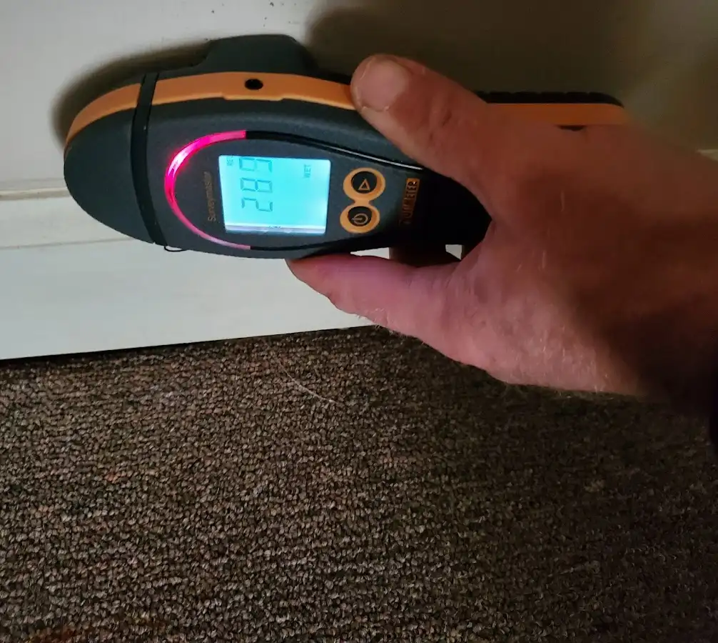 Moisture detection at baseboard during Sewage Cleanup & Sanitation in New Freedom